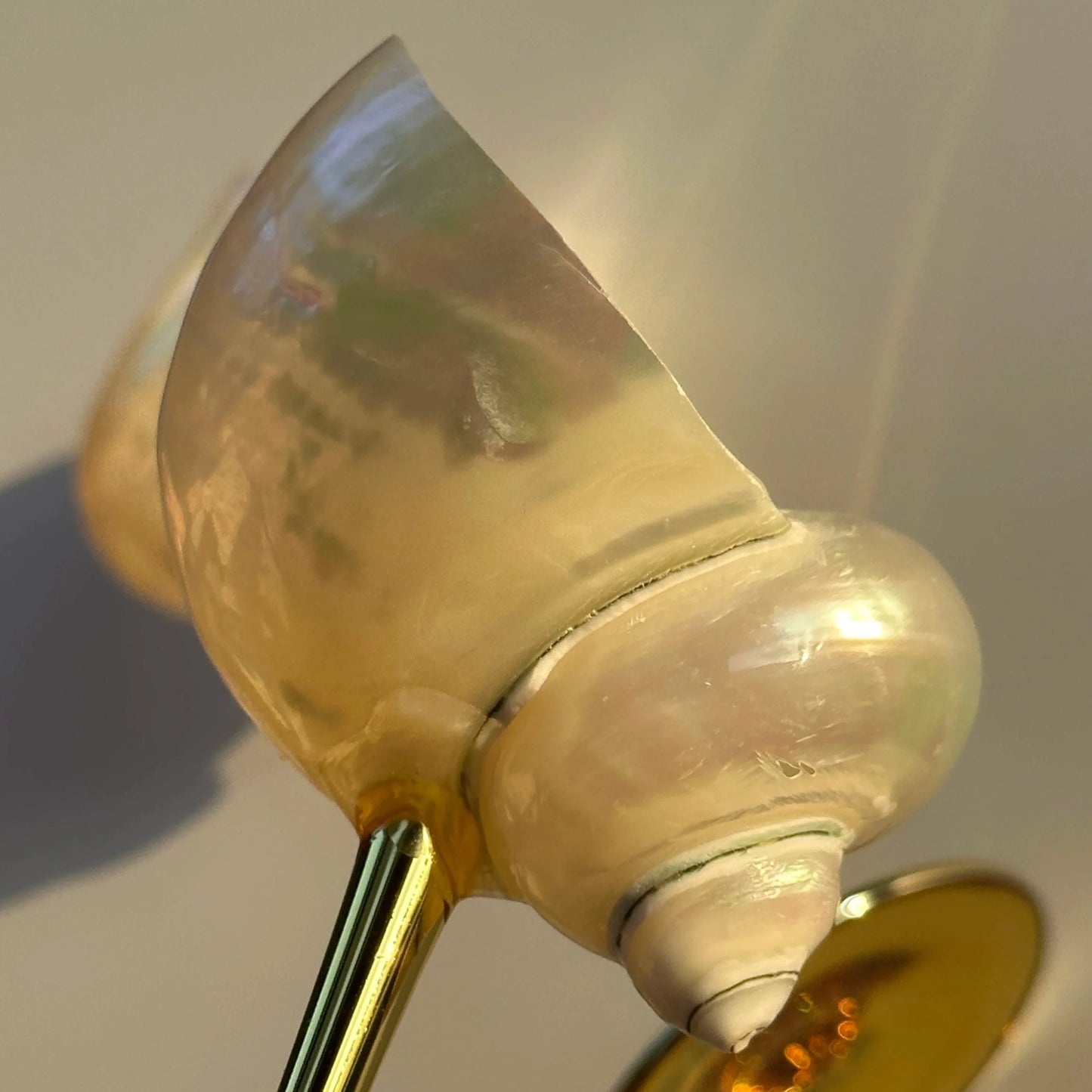 Shell Goblet